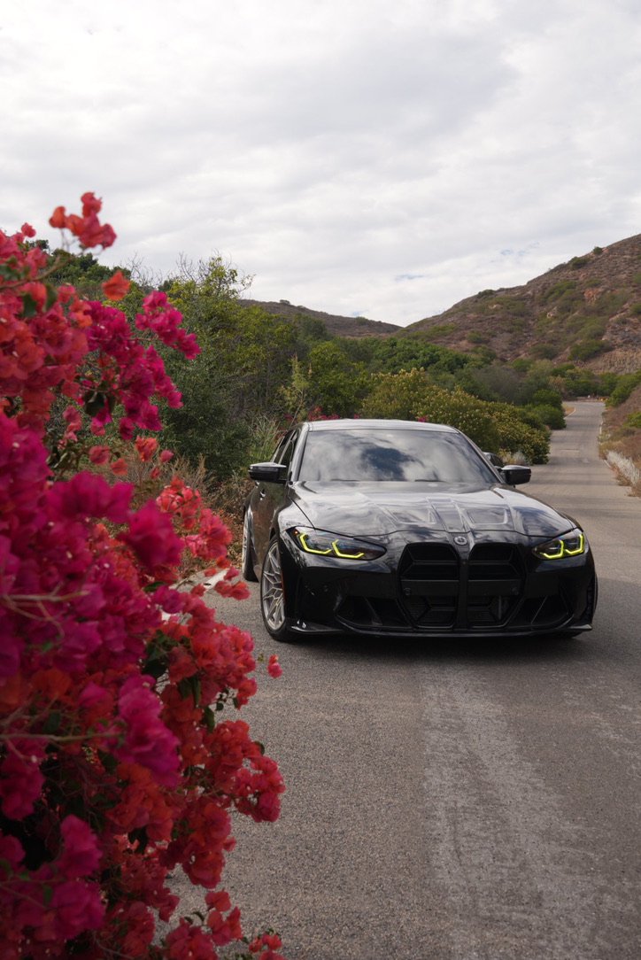 Brayden's BMW M3 framed by bright flowers
